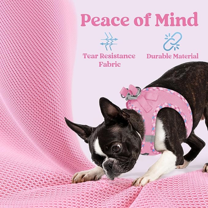 rabbitgoo Small Dog Harness, Step-in Soft Mesh Puppy Vest with Safety Buckle, Breathable Reflective Pet Harness for Small Sized Dogs, Pink & Plaid Trim S