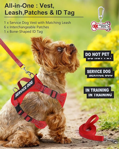Service Dog Vest for Small Breed Dogs with ID Tag – Lightweight Puppy Harness and Leash Set with 6 PCS Patches, Ideal Service Animal Vest for Training, Complete Service Dog Gear, Red, M