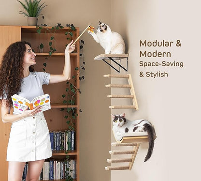 Wall Mounted 1 Pack Cat Shelf with 2 Pcs Two Steps Climber Stairs - Modern Cat Wall Furniture for Climbing, Lounging, and Playing - Perfect Hammock for Indoor Cats or Kitty