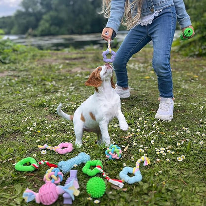 Chew Toys for Small Dogs, 6 Pcs Puppy Chew Toys, Soft Rubber, Eco-Friendly Dog Teething Toys for Puppies, Interactive Blue Dog Toys