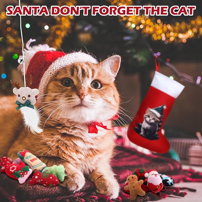 Syhood 18 Pcs Christmas Cat Stocking Toys Catnip Toys Set, Include Kitten Interactive Wand Toy Cat Chew Toy Teaser Wand Teething Mouse Santa Fish Ball Feather Toy Christmas Hanging Stocking for Pet