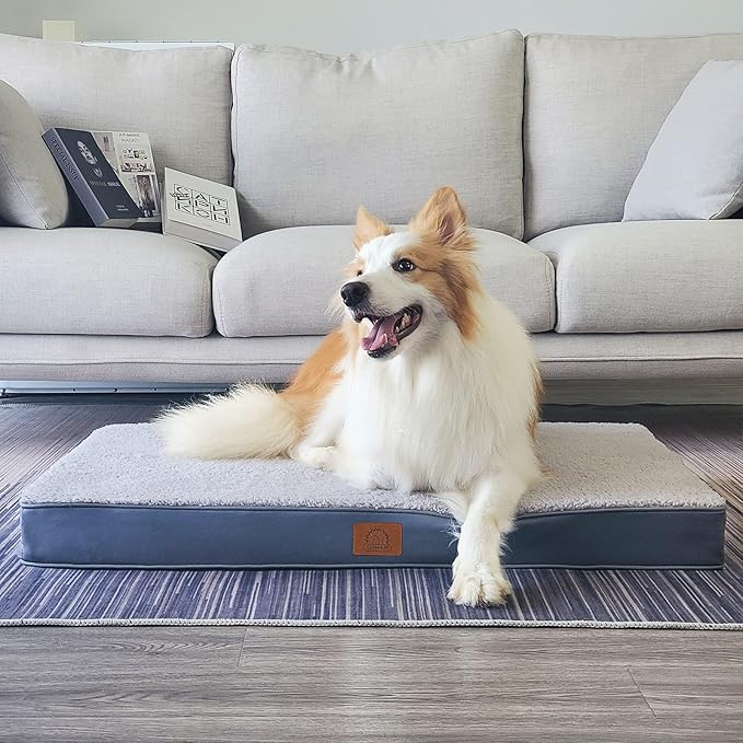 Sunheir Orthopedic Dog Bed for Large Dogs and Extra Large Dogs, XL Waterproof Dog Bed with Removable Washable Cover & Anti-Slip Bottom, Crate Bed, Deluxe Plush Pet Bed Mat, L-Plus(36"X27"X3"), Grey