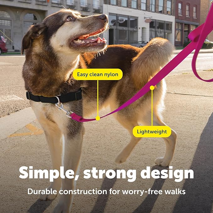 PetSafe Nylon Leash - Strong Nylon for Everyday Walks - Durable Pet Leash with Quick Attach Clip - Comfortable Soft Grip - 4 Feet - Raspberry Pink