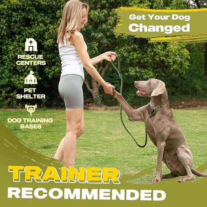 Fida Durable Slip Lead Dog Leash Bulk Pack of 5, Heavy Duty 1/2" x 6 FT Comfortable Strong Rope Slip Lead for Large, Medium & Small Dogs No Pulling Pet Training Leash with Highly Reflective (Green)