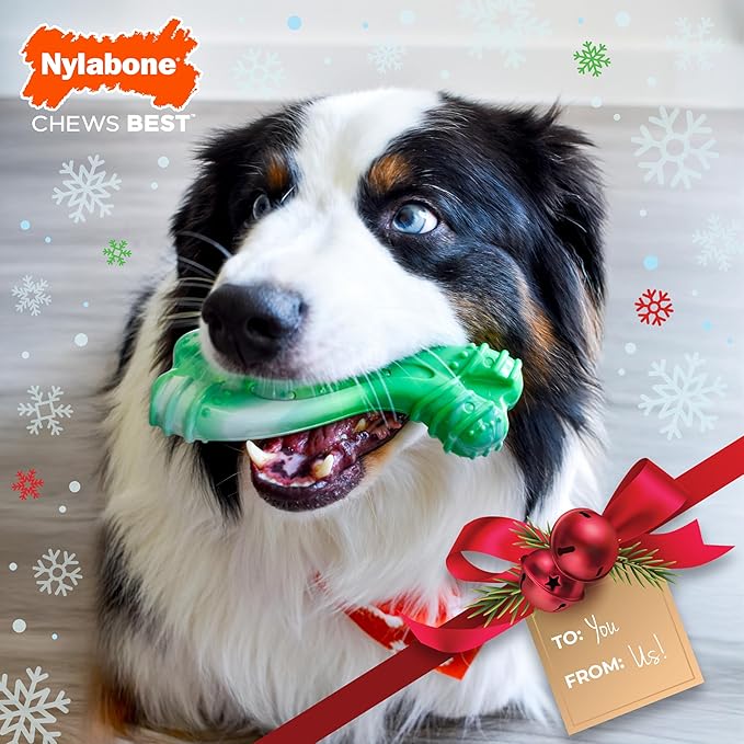 Nylabone Curvy Dental Bone Power Chew Toy for Dogs, Dog Chew Bones for Aggressive Chewers, Wintergreen Flavor, Large - Up to 50 lbs, 1 Count