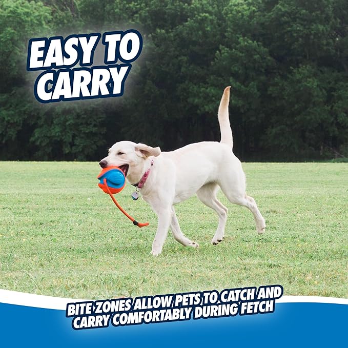 Chuckit! Rope Fetch Dog Toy - Ball on Rope Fetch and Tug-of-War Toy for Dogs - Durable EVA Rubber Construction - 5.5-inch Diameter - 18-inch Rοpe - Orange and Blue
