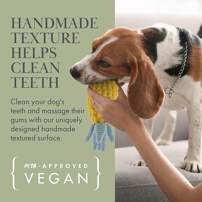 Nina Woof Organic Cotton Squeaky Dog Toy Set – Fruits & Veggies Pack