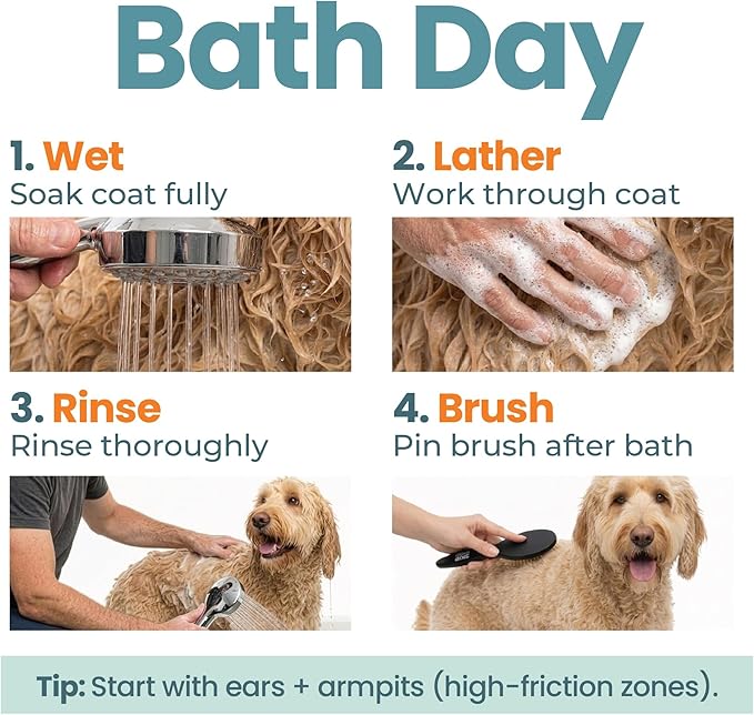 Dog Shampoo & Conditioner for All Breeds – Goldendoodles, Poodles & Doodles – 4-in-1 Reset for Bath Days – Deep Clean, Condition, Detangle & Moisturize Curly Coats – 16 oz