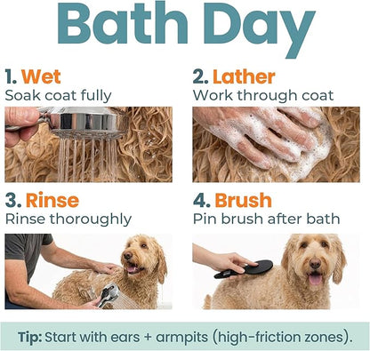 Dog Shampoo & Conditioner for All Breeds – Goldendoodles, Poodles & Doodles – 4-in-1 Reset for Bath Days – Deep Clean, Condition, Detangle & Moisturize Curly Coats – 16 oz