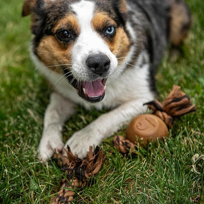 Carhartt Pet Training Tools, Rugged Dog Tool for Tug and Fetch, Rubber Ball Rope Pull (Carhartt Brown/Dark Brown)