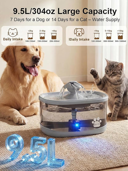 Kastty 9.5L Dog Water Fountain for Large Dogs,2.5Gal Large Capacity Pet Water Fountain with 3 Flow Modes, Automatic Quite Dog Water Bowl Dispenser with Water Window & LED,Easy to Clean(FS82,Grey)