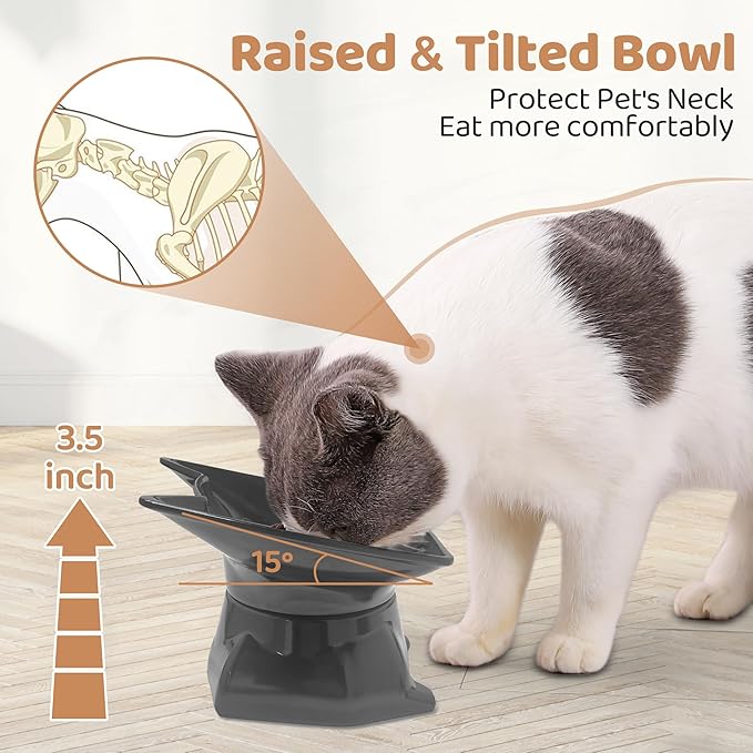 Small Elevated Slow Feeder Cat Bowl, Cute Tilted Elevated Bowls and Dishes for Cats & Small Dogs, Whisker Friendly, Anti Vomiting Raised Pet Bowl for Dry and Wet Food, Black