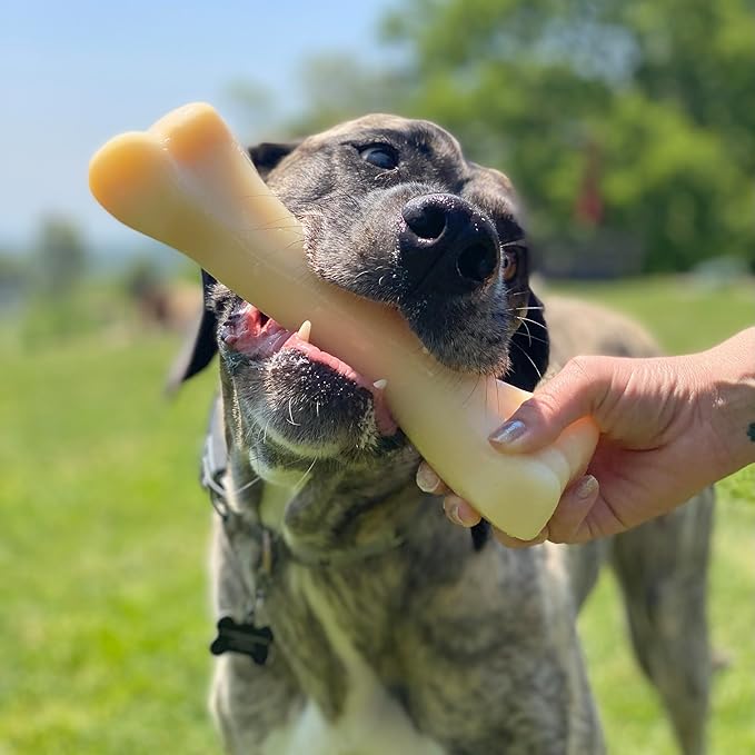 Nylabone Big Chew Monster Bone Power Chew Toy for Large Dogs, Durable Dog Toys for Aggressive Chewers, Destroy Proof Chew Toys To Keep Them Busy, Chicken Flavor, XX-Large, 50++ lbs, 1 Count