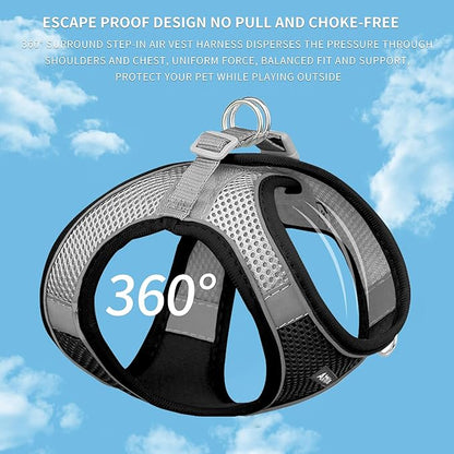 AIITLE Step in Dog Harness and Leash Set - No Pull Escape Proof Vest Harnesses with Soft Mesh and Reflective Bands, Adjustable Pet Outdoor Harnesses for Small and Medium Dogs Black M