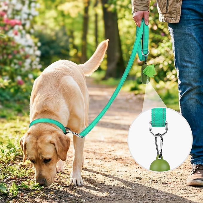 Joytale Dog Leash, 6 FT Double-Sided Reflective, Padded Handle Nylon Heavy Duty Leashes for Small Dogs Walking, Teal