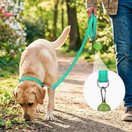 Joytale Dog Leash, 4 FT Double-Sided Reflective, Padded Handle Nylon Heavy Duty Leashes for Small Dogs Walking, Teal