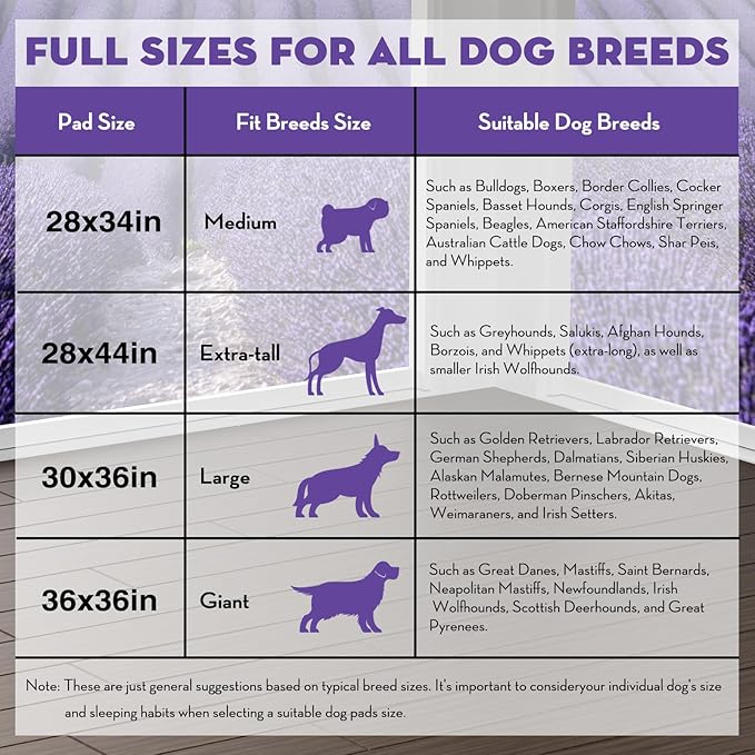 CROCI Dog Pads Extra Large 28x34in, Puppy Pads with Adhesive Tabs Super Absorbent Up to 8 Cups, Disposable (40 Counts)