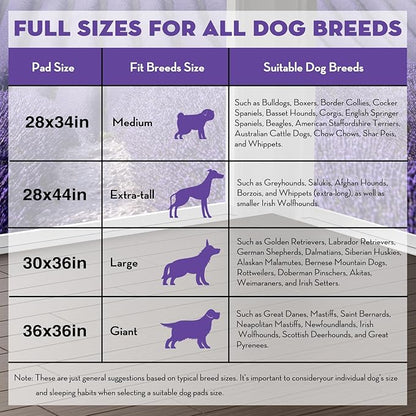 CROCI Dog Pads Extra Large 36x36in, Puppy Pads with Adhesive Tabs Super Absorbent Up to 11 Cups, Disposable (30 Counts)