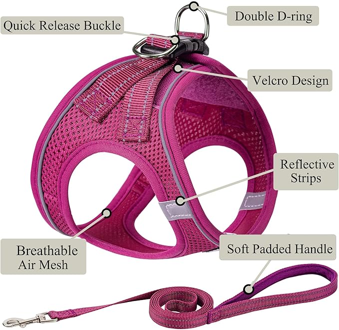 Dog Harness with Leash Set, No Pull Adjustable Reflective Step-in Puppy Pet Vest Harnesses for Small Medium Large Dogs and Cats,Rose Red XL