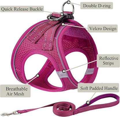 Dog Harness with Leash Set, No Pull Adjustable Reflective Step-in Puppy Pet Vest Harnesses for Small Medium Large Dogs and Cats,Rose Red XS
