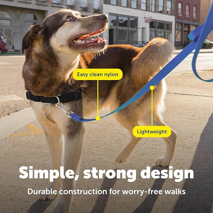 PetSafe Nylon Leash - Strong Nylon for Everyday Walks - Durable Pet Leash with Quick Attach Clip - Comfortable Soft Grip - 6 Feet - Royal Blue