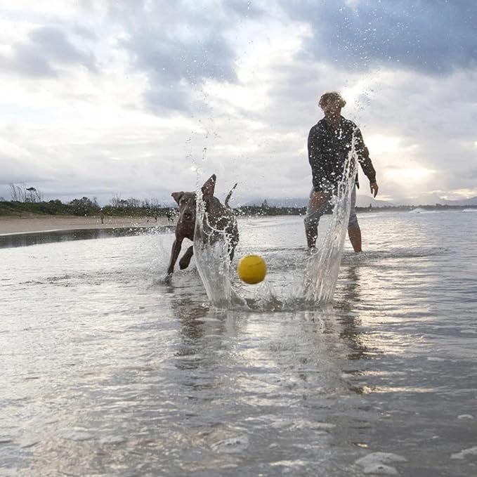 Waboba Fetch Water Ball for Dogs (New Version), Yellow