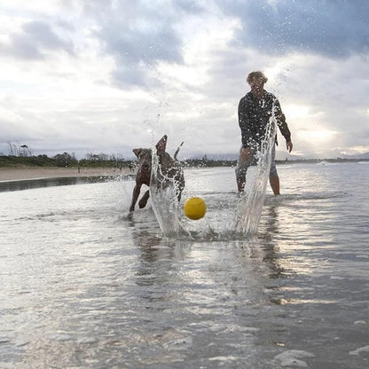 Waboba Fetch Water Ball for Dogs (New Version), Yellow