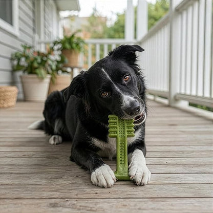 SPOT Bam-Bones Plus Toothbrush Dog Chew Toy, Durable Bamboo Fiber & Nylon Dental Chew, Fresh Mint & Baking Soda for Dental Care, Easy-to-Grip T-Bone Shape, for Heavy Chewers Under 60 lbs, 6 Inch