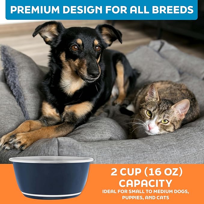 Master Pet Supply Stainless Steel Dog Bowls Set of 2 (16 Oz Each) with Non-Slip Rubber Base - Navy Blue - Basic Dog Food Bowl Water & Food Bowls for Small Medium Large Dogs & Cats, Metal Dish
