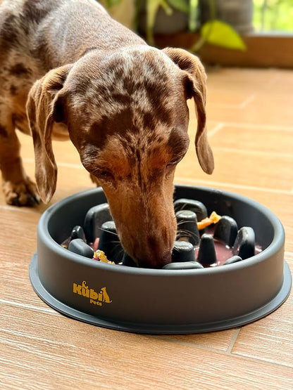 Slow Mo Bowl | Slow Feeder Dog Bowl for Fast Eaters, Improves Digestion & Reduces Bloating, Fun Interactive Design, & Dishwasher Safe | Kubi Pets