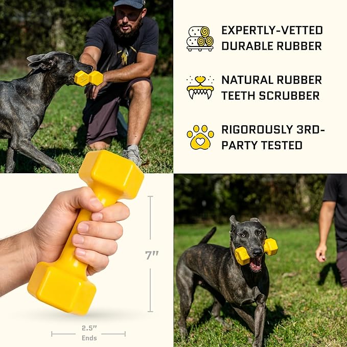 Virtually Indestructible Dog Dumbbell - Lifetime Replacement - Tough, Durable Chew Toy for Aggressive Chewers - Safe Non-Toxic Natural Rubber - Chew, Tug, Fetch - Med/Large Breed - 7"x2.5"