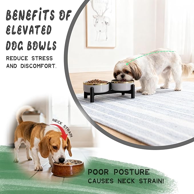 Elevated Ceramic Dog Bowl Set - Double Dishes with Stainless Steel Stand – Raised Feeding Bowls for Cats and Small Dogs - Food & Water Set - 5" / 1.6 Cups (160 g / 300 ml) - Gray