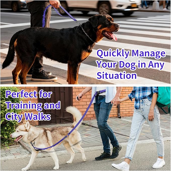 Kazazoo Hands-Free Dog Leash with 5.5-8.5FT Adjustable Length - Heavy Duty No Pull Bungee Design, Reflective Safety for Walking, Jogging & Training | Suitable for Medium to Large Dogs,M Size