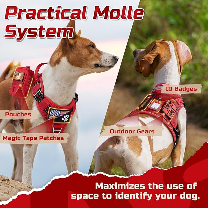 rabbitgoo Tactical Dog Harness for Small Dogs, No Pull Military Service Vest with Handle & Molle, Easy Control for Training Walking, Adjustable Reflective Straps, Red, S