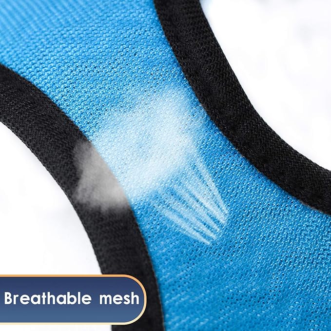 YIMEIS Dog Harness and Leash Set, No Pull Soft Mesh Pet Harness, Reflective Adjustable Puppy Vest for Small Medium Large Dogs, Cats (Blue, Small (Pack of 1))