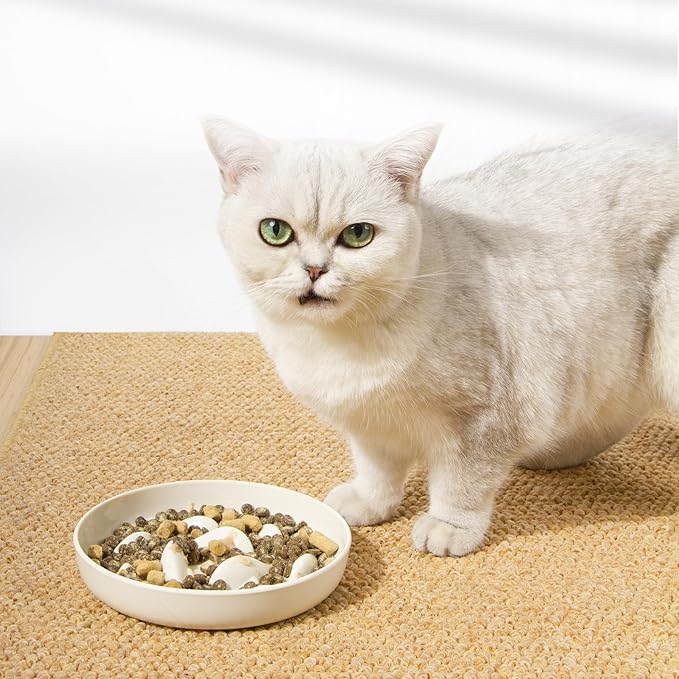 Slow Feeder Bowl for Cats and Small Dogs,Cilkus Fish Pool Design, Fun Interactive Bloat Stop Puzzle Feeder Bowl Healthy Eating Diet Made of Melamine Food Grade Material (White(Melamine))