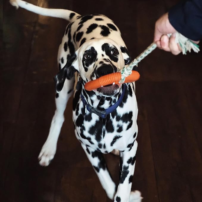 Green Sheep Natural Rubber Ring Rope Toy for Dogs, Durable Chew & Tug of War Dog Toy, Interactive Pet Toys for Small to Large Dogs, Medium Orange with Recycle Cotton Rope