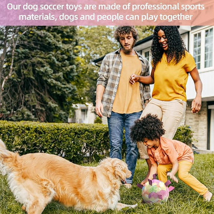 QDAN Extra Large Dog Toys Soccer Ball for Extra Large Dogs - Durable Dog Ball for Beach Pool Water Toy, Interactive Tug of War, Puppy Birthday Gifts, Rainbow (9 Inch)