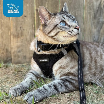 Best Pet Supplies - All Weather Mesh/Plush, Reflective, No Pull Harness for Small, Medium Dogs, Cats - Secure with Hook & Loop Fastener, Buckle, Double D-Rings - Black/Red Trim, XS
