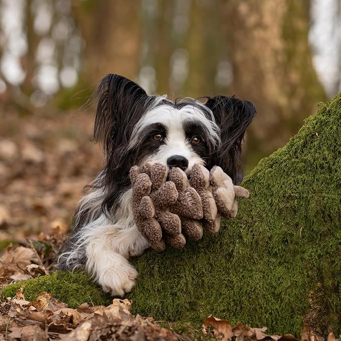 CHEWFFON Plush Pinecone Dog Toys-Interactive, Squeaky, Snuffle, Treat Dispensing, Nose Work Game for Small and Medium Dogs