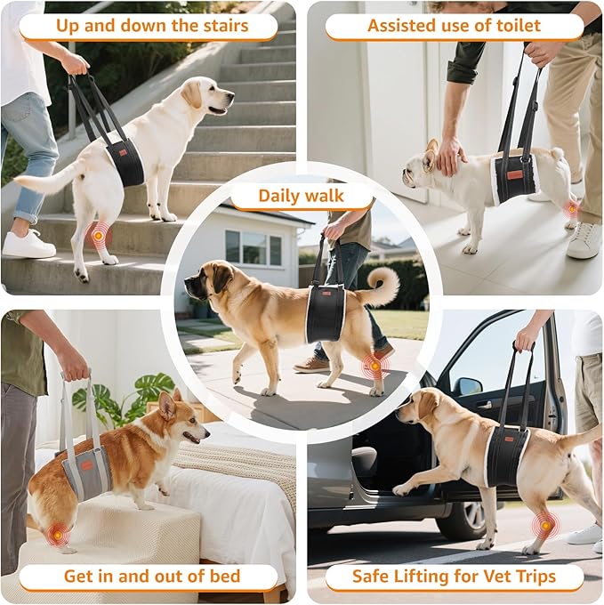 LOOBANI Dog Sling for Medium Dogs Hind Leg Support, Portable Dog Lift Harness for Back Legs, Comfortable Leg Support Assistance for Elderly Dogs with Hip, ACL Brace, Senior, Injured