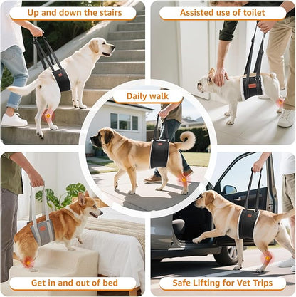 LOOBANI Portable Dog Sling for Back Legs, Hip Support Harness to Help Lift Rear for Canine Aid Old K9 Cruciate Ligament Rehabilitation