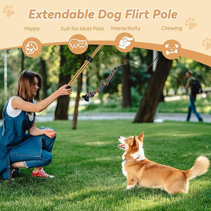 Flirt Pole for Dogs, Interactive Toys Tug-of-war for Pet, Durable Teaser Wand, Chase Toys with Rope Chewing Sticks, for Outdoor Exercise & Training