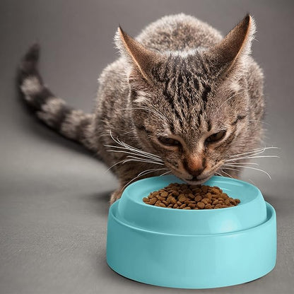 CatGuru Cat Bowls, Whisker Friendly Food Bowl for Indoor Cats, Reliefs Whisker Fatigue, Wide Kitten Dish, Non Slip Pet Dishes, Shallow Pet Plates (Aruba)