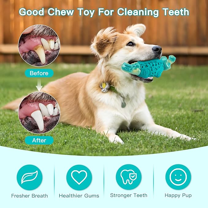 Dog Chew Toys for Aggressive Chewers, Tough Squeaky Dog Toy for Large Medium Dogs, Bacon Flavor Nylon & Natural Rubber, Dental Care Interactive Dog Toys to Reduce Boredom, Teal