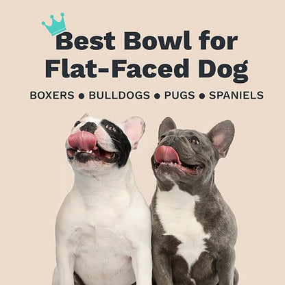 Enhanced Pet Bowl – Slanted Stainless Steel Dog Bowl for Breeds Like Bulldogs, Pugs – Raised Back, No-Spill, Reduces Gas & Mess – Medium Size, Non-Slip, Food-Grade - Does Not Ship from China