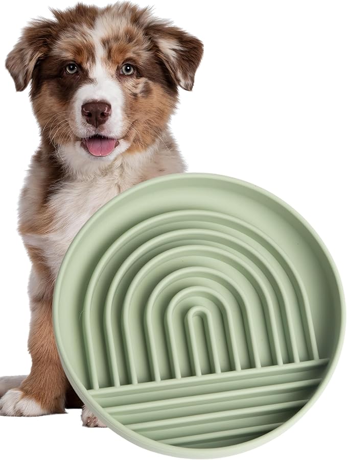 Modern Rainbow Pet Slow Feeder Bowl, Silicone Slow Feeder for Dogs & Puppies, Slow Eating, Modern Lick Mat Design, Reduces Gulping, Dishwasher Fit, for All Breed, Durable Mealtime Puzzle (Sage)
