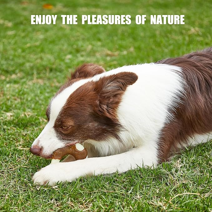 Durable Nylon Dog Toys, 2 Pack Tough Chew Toys for Aggressive Chewers, Beef-Flavored Hoof-Shaped Dog Chew Bones for Large/Medium Breed Dogs, Teeth Cleaning and Anxiety Relief