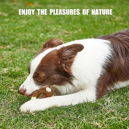 Durable Nylon Dog Toys, 2 Pack Tough Chew Toys for Aggressive Chewers, Beef-Flavored Hoof-Shaped Dog Chew Bones for Large/Medium Breed Dogs, Teeth Cleaning and Anxiety Relief