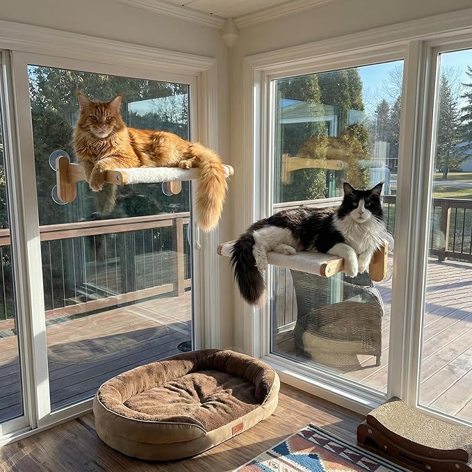 Cat Window Perch with Bird Feeder – Upgraded Bird Watching Solution for Indoor Cats, Foldable Cat Hammock Seat with Strong Suction Cups, Relieves Boredom & Stimulates Natural Instincts